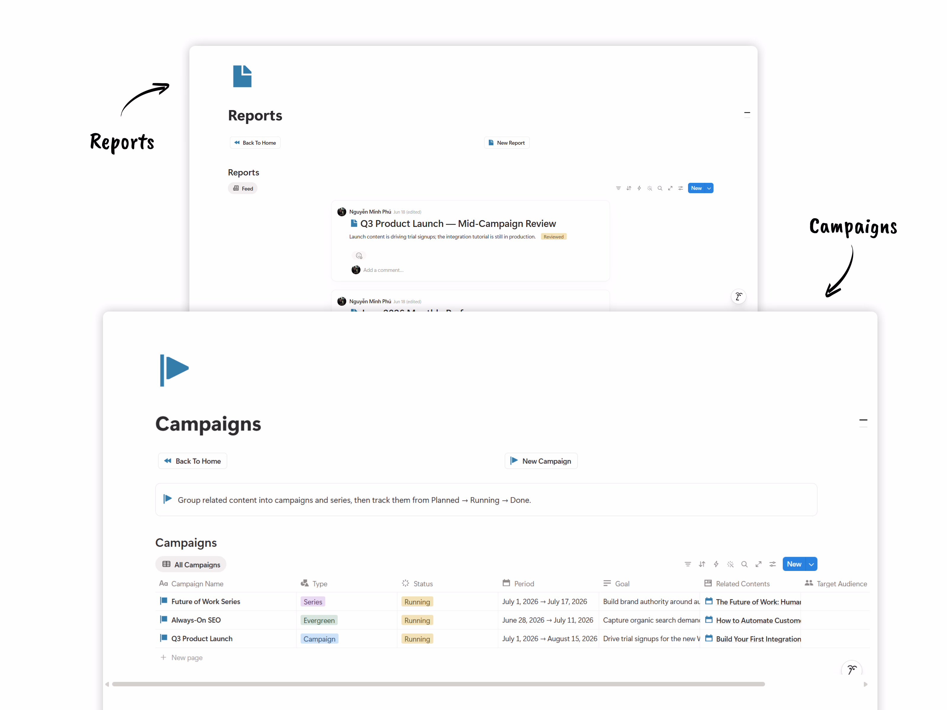 Campaigns & Performance Reports