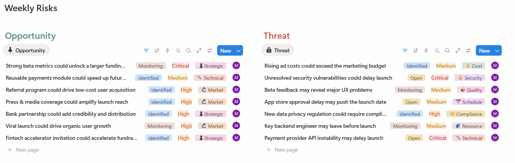 Risk Management Register